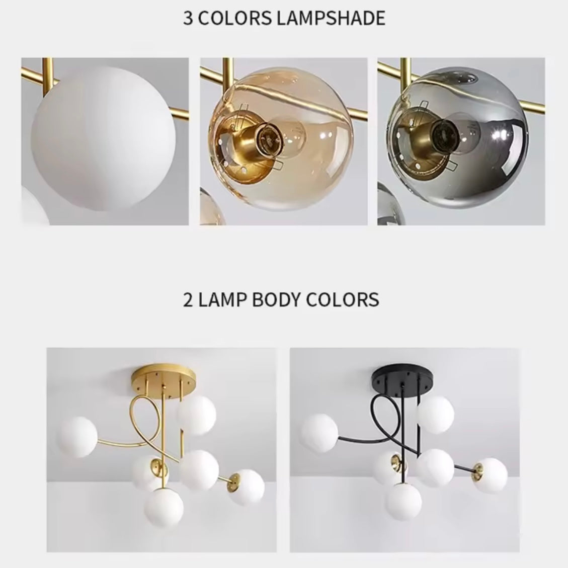 MOLECULAR CONSTELLATION